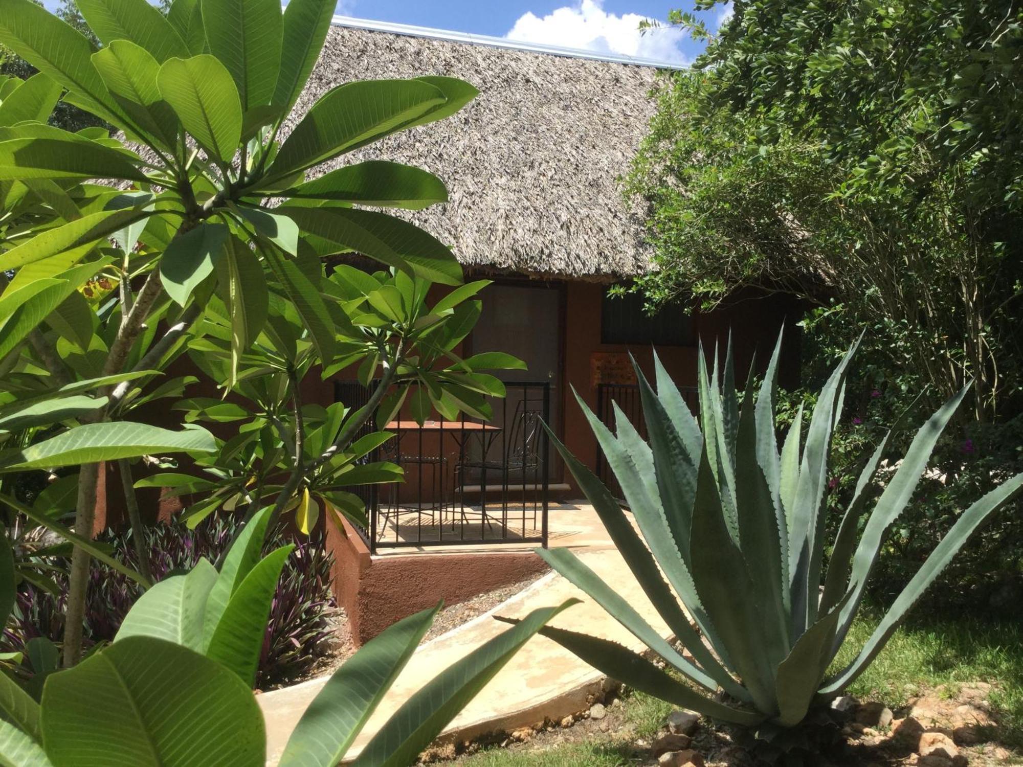 The Pickled Onion B&B And Restaurant Uxmal Santa Elena Pokój zdjęcie