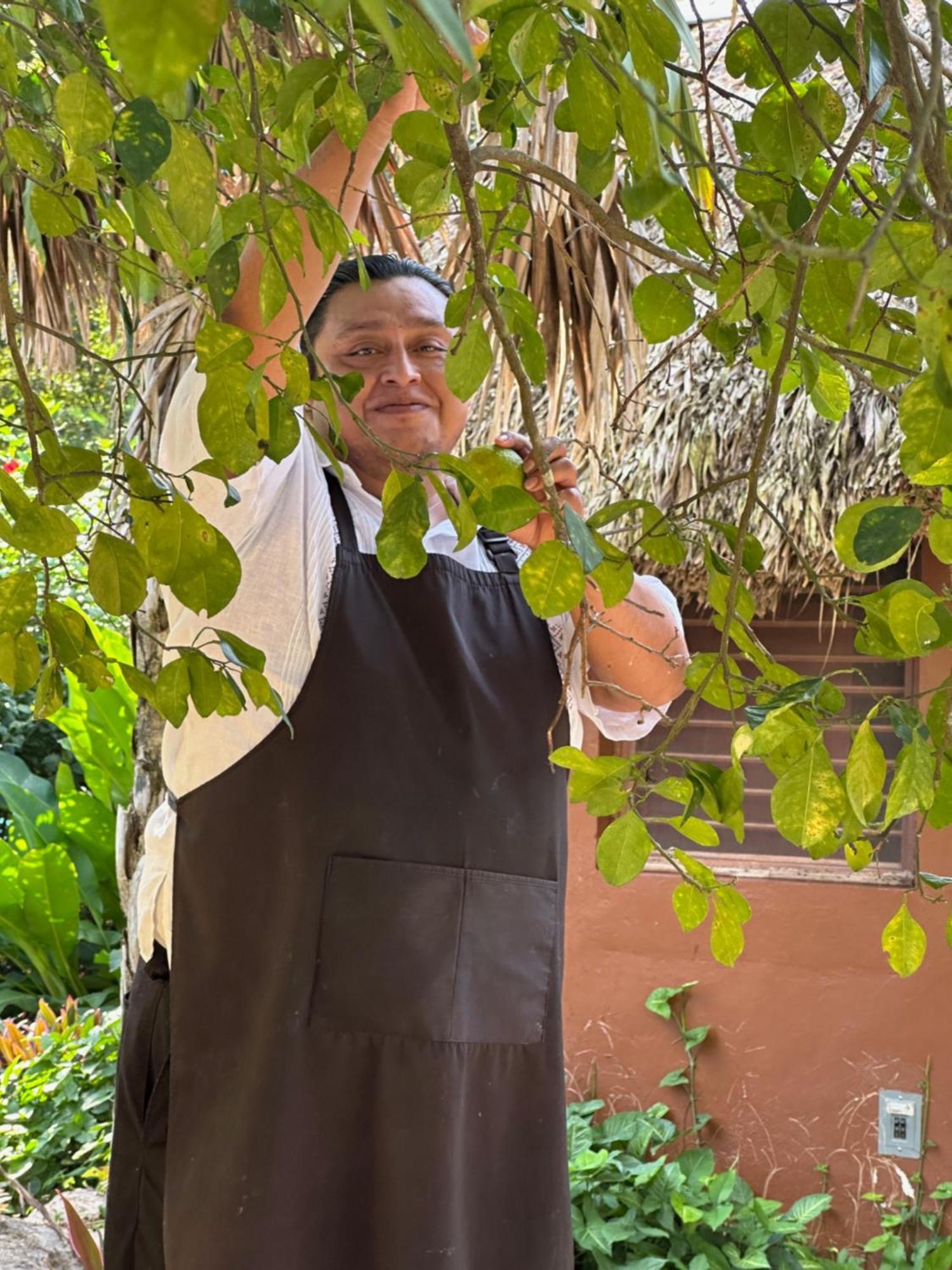 The Pickled Onion B&B And Restaurant Uxmal Santa Elena Zewnętrze zdjęcie